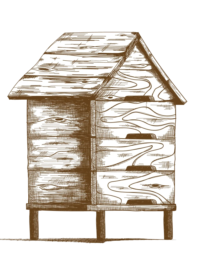 pszczoła na kwiecie