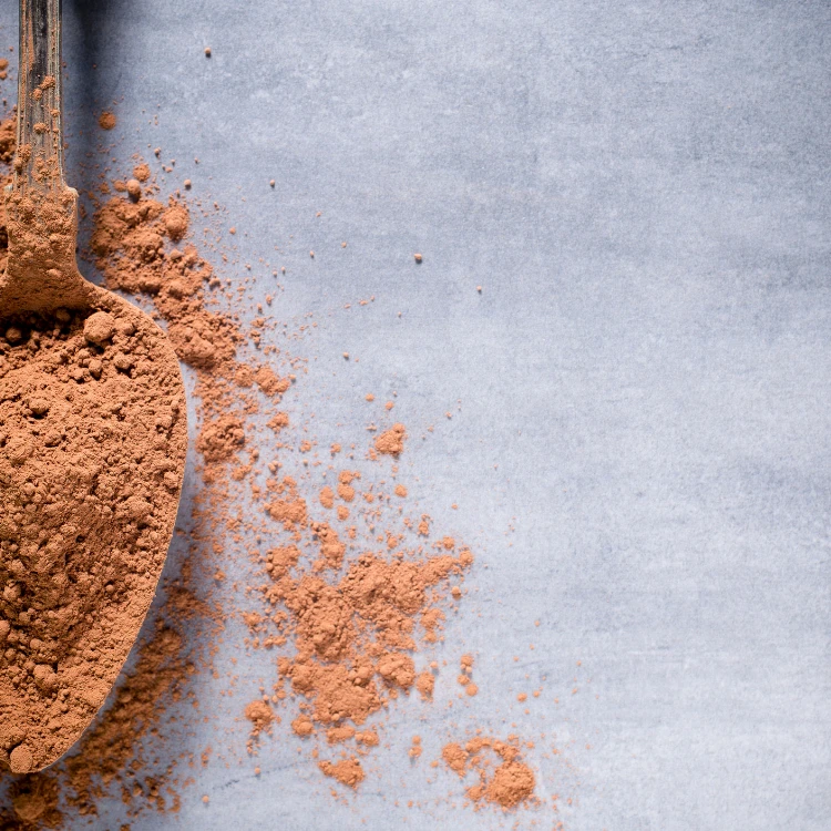 Czekolada, kakao i karob