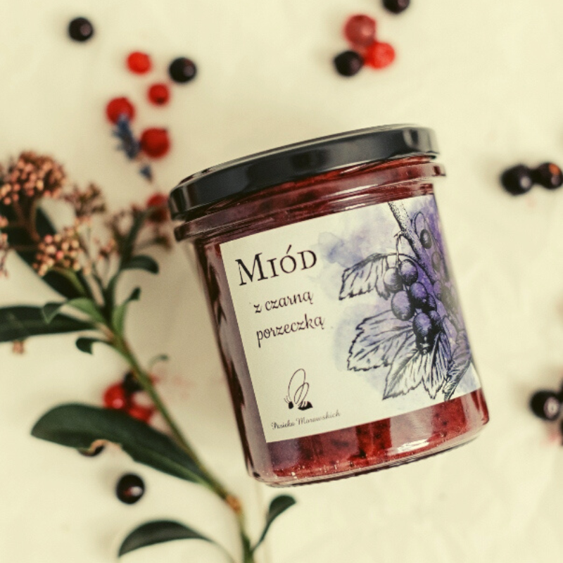 ekologiczne-miody-pasieka-morawscy-miod-z-czarna-porzeczka-na-jasnym-tle