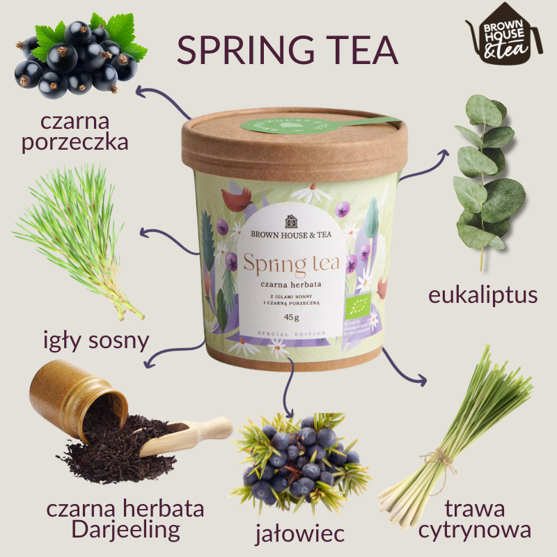 brown-house-and-tea-spring-tea-czarna-herbata-z-iglami-sosny-i-porzeczka-ekologiczna-skladniki