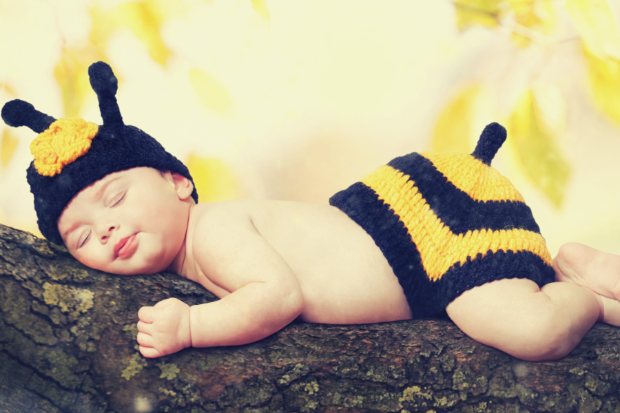 nowo-narodzone-dziecko-ubrane-w-stroj-pszczoly-spi-na-galezi-drzewa