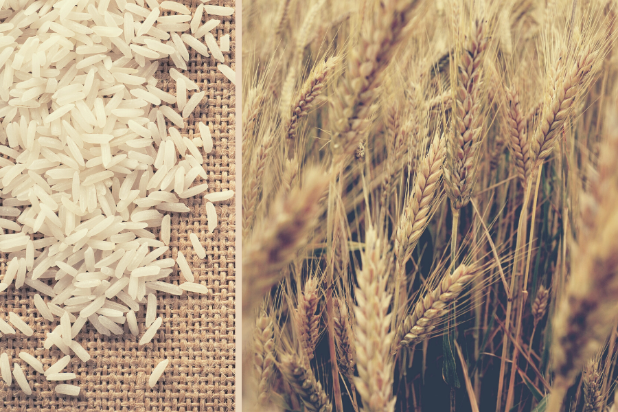 ryz-czy-zboza-lany-zboz-i-rozsypany-ryz-na-jutowym-materiale