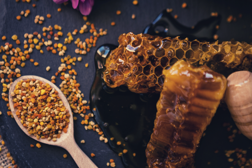 jak-stosowac-pylek-pszczeli-praktyczny-przewodnik-pylek-pszczeli-plaster-miodu-drewniana-lyzka-z-pylkiem-na-ciemnym-tle