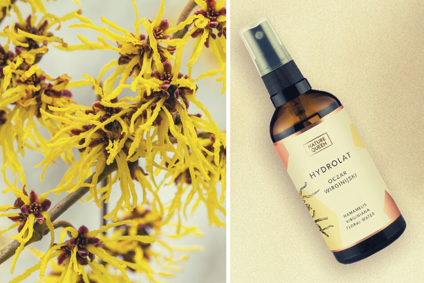 kolaz-zdjec-oczar-wirginijski-hydrolat-nature-queen-wspomaga-regeneracje-koi-podraznienia