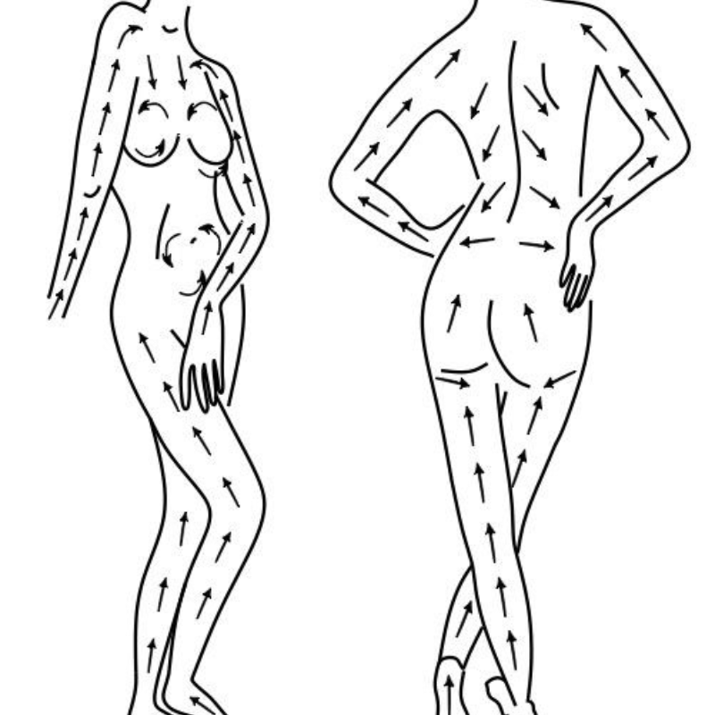 anmar-szczotkowanie-ciala-ikonografika-przedstawiwajaca-jak-korzystac-ze-szczotki