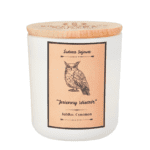 bieszczadzka-sadyba-jesienny-wieczor-jablko-cynamon-bezdymna-siwieca-z-biodegradowalnego-wosku-sojowego-relaksacyjna-do-medytacji-naturalna-180-g