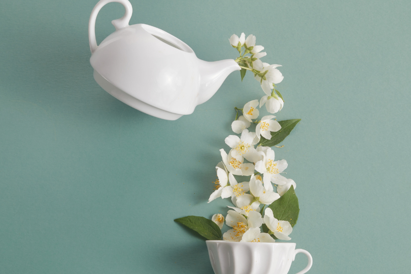 zielona-herbata-jasminowa-wszystko-co-musisz-wiedziec-bialy-porcelanowy-dzbanek-ze-swiezymi-kwiatami-jasminu-biala-filizanka-do-herbaty-eko-herbaty-zdrowe