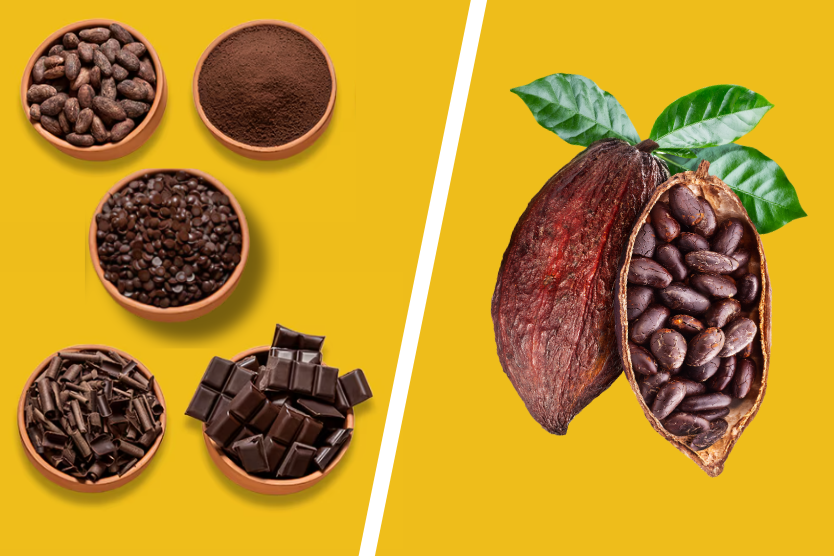 kakao-w-ziarnach-alkalizowane-w-proszku-ktore-jest-najzdrowsze-miseczki-z-kakao